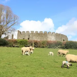 Restormel Castle Print, Cornwall Circular Keep Restormel Castle Print, Cornwall Circular Keep
