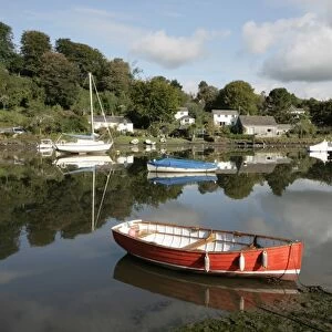 The river at Lerryn