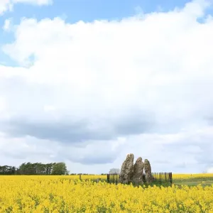 Rollright Stones Print: Whispering Knights at Little Rollright, Cotswolds Rollright Stones Print: Whispering Knights at Little Rollright, Cotswolds