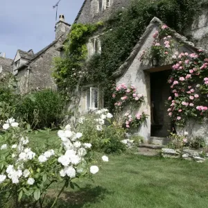 Cotswold Farmhouse Roses Print Cotswold Farmhouse Roses Print