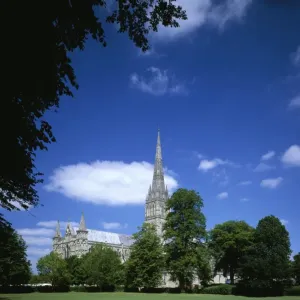 Salisbury Print: A Summer's Day at Salisbury Cathedral Salisbury Print: A Summer's Day at Salisbury Cathedral