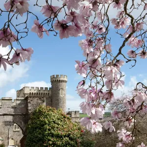 : Spring Time