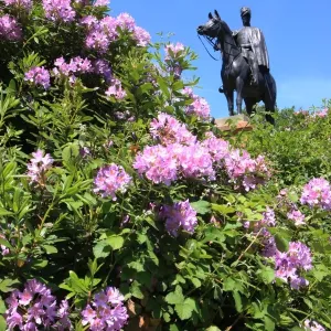 Statue of the Duke of Wellington Print on Round Hill Aldershot Statue of the Duke of Wellington Print on Round Hill Aldershot