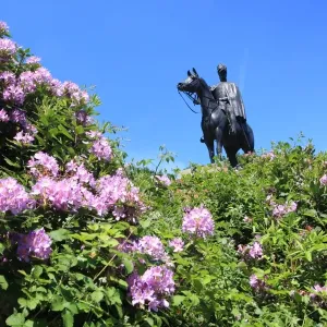 Statue of the Duke of Wellington Print Statue of the Duke of Wellington Print