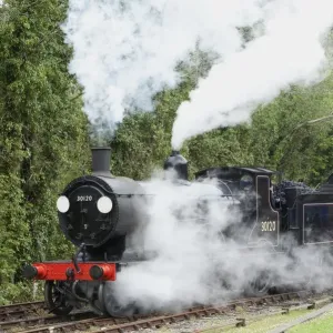 Steam Power Print: LSWR Class T9 Greyhound 4-4-0 at Bodmin Parkway Steam Power Print: LSWR Class T9 Greyhound 4-4-0 at Bodmin Parkway