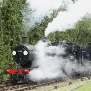 Steam Power Print: LSWR Class T9 Greyhound 4-4-0 at Bodmin Parkway Steam Power Print: LSWR Class T9 Greyhound 4-4-0 at Bodmin Parkway