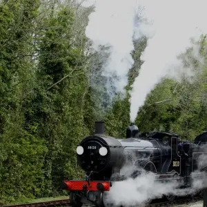 Print of Steam Locomotive 30120 on the Bodmin and Wenford Railway Print of Steam Locomotive 30120 on the Bodmin and Wenford Railway