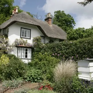Swan Green Swan Green