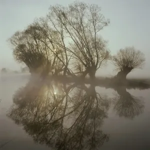 The Thames at Oxford Early Morning Print The Thames at Oxford Early Morning Print
