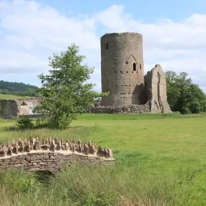 Tretower Castle Tretower Castle