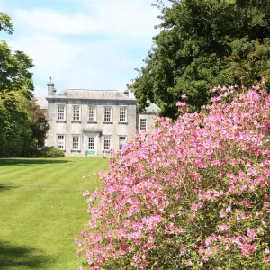 Trewithen House Acers Print Trewithen House Acers Print