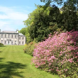 Trewithen House Trewithen House