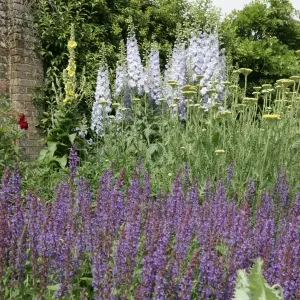 Waterperry Gardens Waterperry Gardens