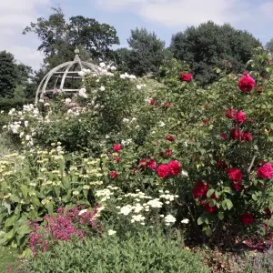 Waterperry Gardens Waterperry Gardens