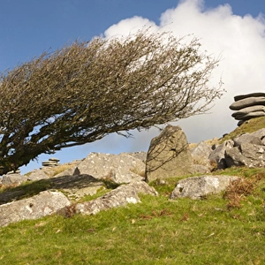 Windswept stones on Bodmin Moor 2