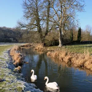 A winters day A winters day