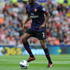 Abou Diaby in Action: Arsenal vs. Stoke City, Premier League 2012-13