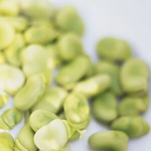 Close-up of organic broad beans