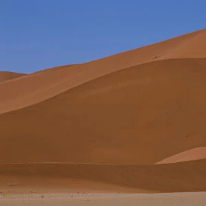 Namibia. Namib Desert. Namibia