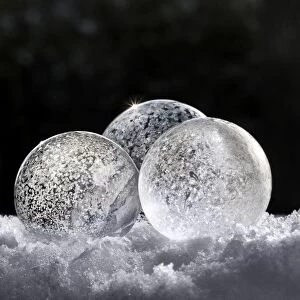 3 frozen bubbles