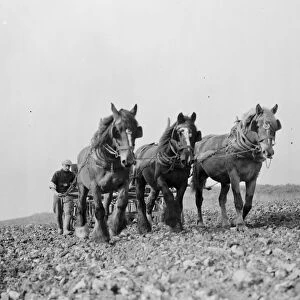 Farm workers with their horse drawn Suntyne seed drill in Darenth, Kent. 1938