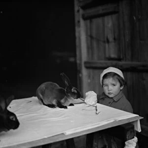 A little girl looks at the rabbits. 1937