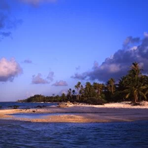 Tropical Islands - Polynesia Islet in Rangiroa Atoll