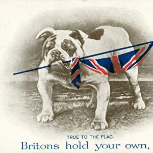 British propaganda postcard, a bulldog holding the Union Jack with words by Tennyson (colour litho)