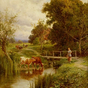 Across the Stream, Midgham, Berkshire (oil on canvas)