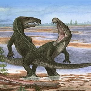 Confrontation between two prehistoric Archosaurus rossicus