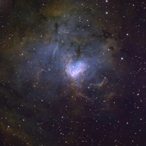 NGC 1491, an emission nebula in the constellation of Perseus