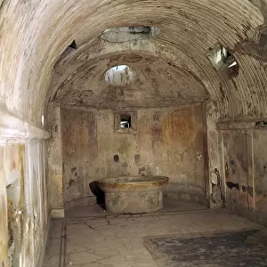 The calidarium of the Forum baths in the Roman town of Pompeii, 1st century