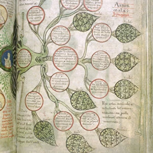 A page from Liber Floridus, 12th century