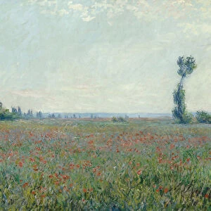 Poppy field, 1881. Artist: Monet, Claude (1840-1926)