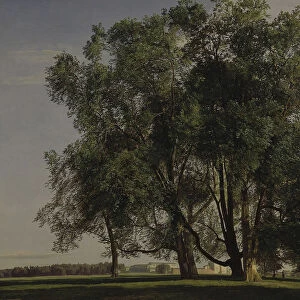 Prater Landscape, 1830. Artist: Waldmuller, Ferdinand Georg (1793-1865)