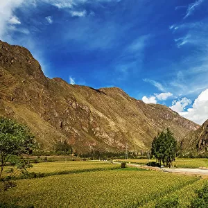Peru, Sacred Valley, Scene of Crop Fields