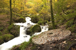 <b class=qtipBold><figcaption>Autumn Water Falls</figcaption></b><br>A Granite Mill Stone beside the water falls in the Kennall Vale Nature Reserve at Ponsanooth near Truro in Cornwall., on a day in late autumn.The mill stone is part of a old Gunpowder Factory, the water was used the power the factory,<br><em>© Paul Felix Photography Twelve Beacon Park Pelynt nr Looe Cornwall PL13 2PQ</em> Autumn Water Falls