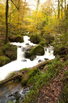 Autumn Water Falls Autumn Water Falls