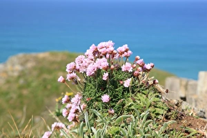 The Bedruthan Steps