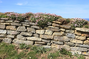 The Bedruthan Steps