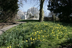 <b class=qtipBold><figcaption>Birmingham Botanical Gardens</figcaption></b><br>A spring day at the Botanical Gardens in Birmingham<br><em>© Paul Felix Photography Twelve Beacon Park Pelynt nr Looe Cornwall PL13 2PQ photos@paulfelix.co.uk 01503 221069</em> Birmingham Botanical Gardens
