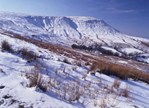 <b class=qtipBold><figcaption>Black Mountains</figcaption></b><br>A mountain called Lord Hereford's Knob in the Black Mountains above the popular town of Hay on Wye, Powys Wales<br><em>© Paul Felix Photography Twelve Beacon Park Pelynt nr Looe Cornwall PL13 2PQ photos@paulfelix.co.uk 01503 221069</em> Black Mountains