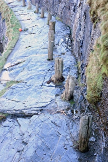 <b class=qtipBold><figcaption>Boscastle</figcaption></b><br>A row of bollards on the quayside around the harbour in the fishing village of Boscastle on the North Cornish Coast<br><em>© Paul Felix Photography Twelve Beacon Park Pelynt nr Looe Cornwall PL13 2PQ photos@paulfelix.co.uk 01503 221069</em> Boscastle
