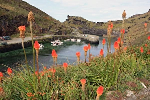 Boscastle