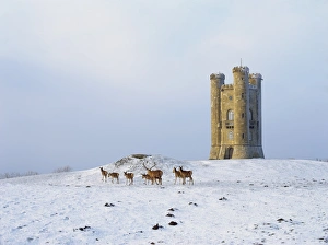 Broadway Tower