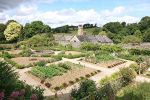 Stately Home Prints: Buckland Abbey