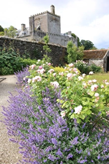 Buckland Abbey
