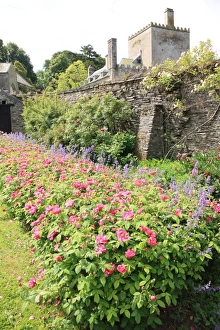 <b class=qtipBold><figcaption>Buckland Abbey</figcaption></b><br>One of the gardens at Buckland Abbey at Yelverton in Devon Once the home of Francis Dake<br><em>© Paul Felix Photography Twelve Beacon Park Pelynt nr Looe Cornwall PL13 2PQ photos@paulfelix.co.uk 01503 221069</em> Buckland Abbey