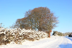 Burford