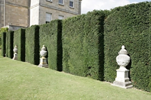 <b class=qtipBold><figcaption>Buscot Park</figcaption></b><br>The Gardens at Buscot Park near Faringdon Oxfordshire<br><em>© Paul Felix Photography Twelve Beacon Park Pelynt nr Looe Cornwall PL13 2PQ photos@paulfelix.co.uk 01503 221069</em> Buscot Park